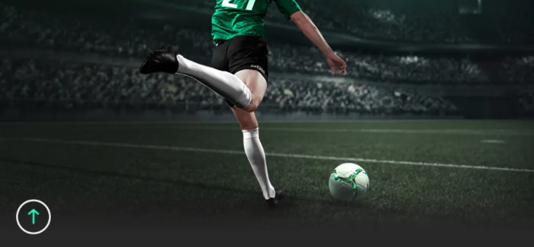 法篮盛宴,里昂主场力,战联赛霸主,188bet金宝博体育,188bet金宝博体育app,188bet金宝博体育官网,188bet金宝博体育下载,188bet金宝博体育入口