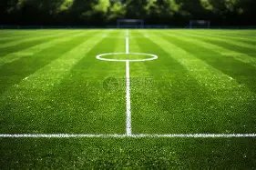 总决赛收官,之战激怒球,辽篮对手粉,188bet金宝博体育,188bet金宝博体育app,188bet金宝博体育官网,188bet金宝博体育下载,188bet金宝博体育入口