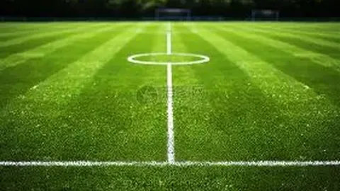 CBA总决赛收官之战激怒球迷：辽篮对手粉丝砸金如雨，判官亦显紧张神态